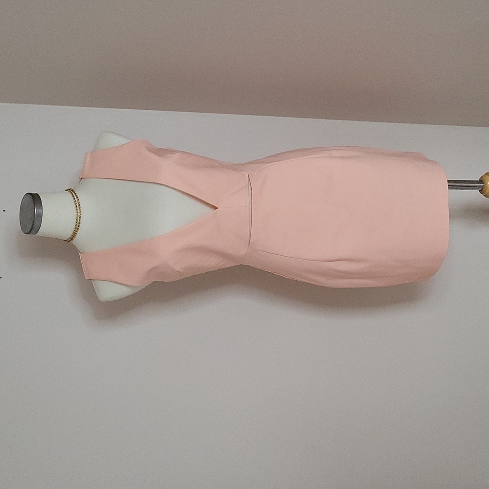 BNWT Light Pink Bodycon Mini Dress with Slit- SZ 6
